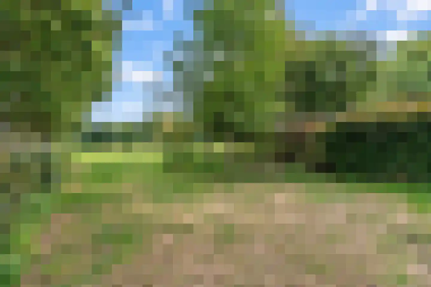 Broek 4 Holthees thumbnail 13
