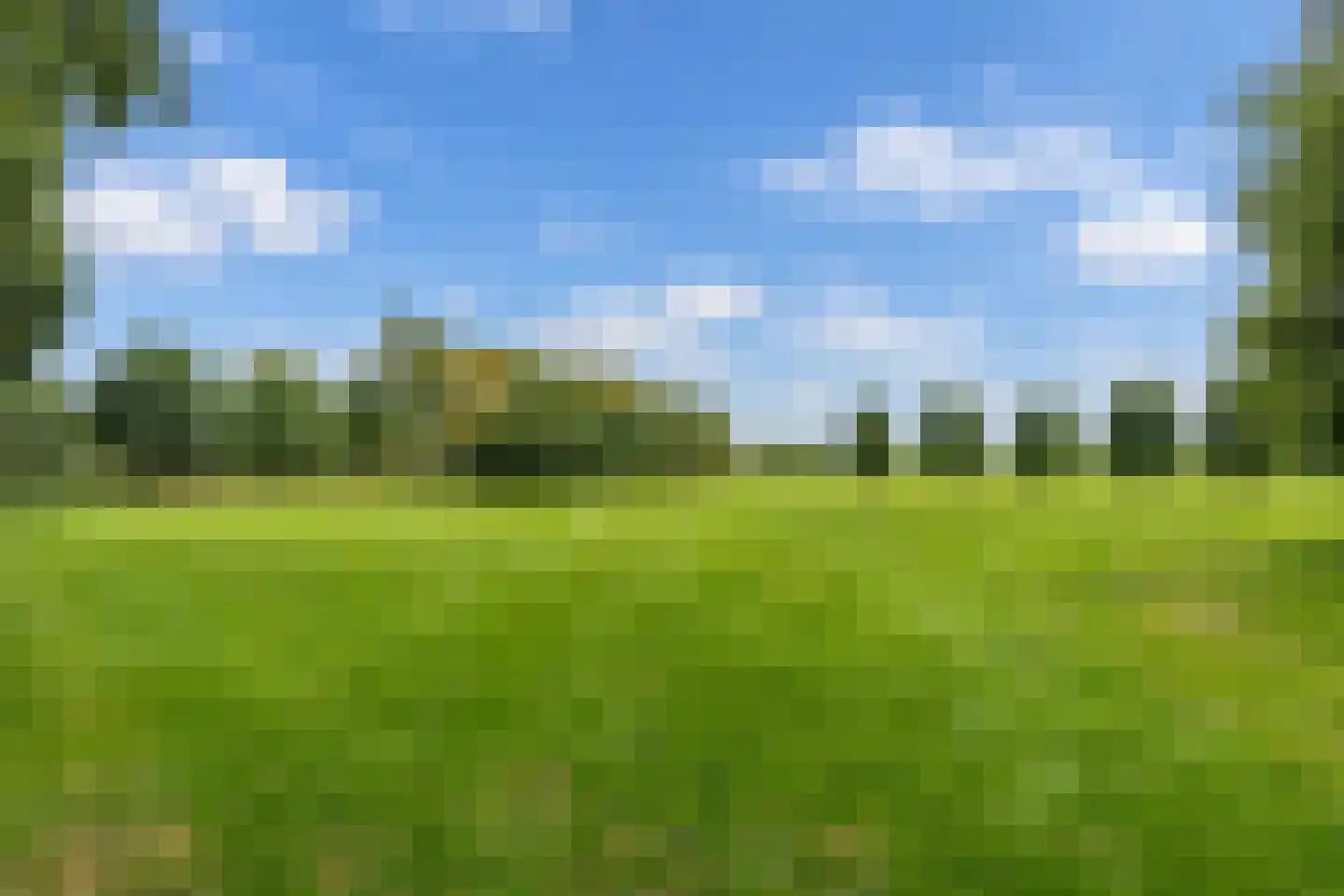 Broek 4 Holthees thumbnail 14