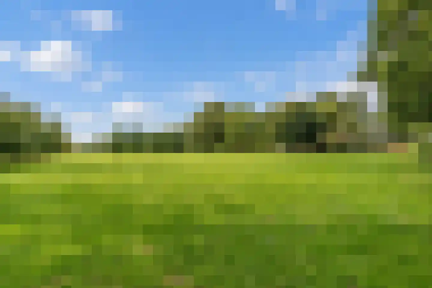 Broek 4 Holthees thumbnail 15