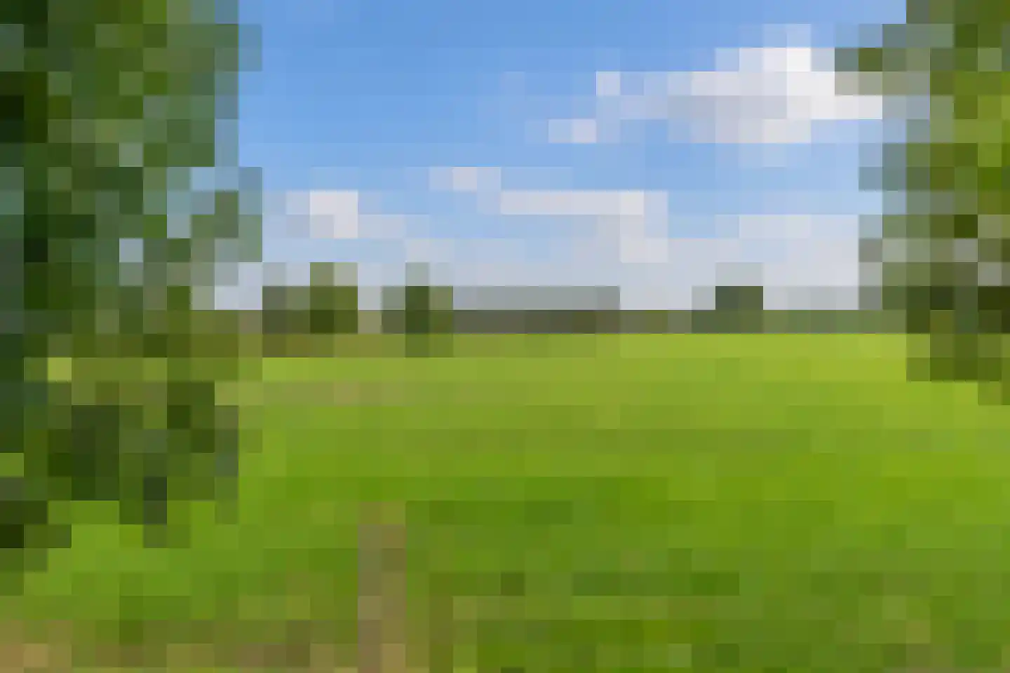 Broek 4 Holthees thumbnail 16
