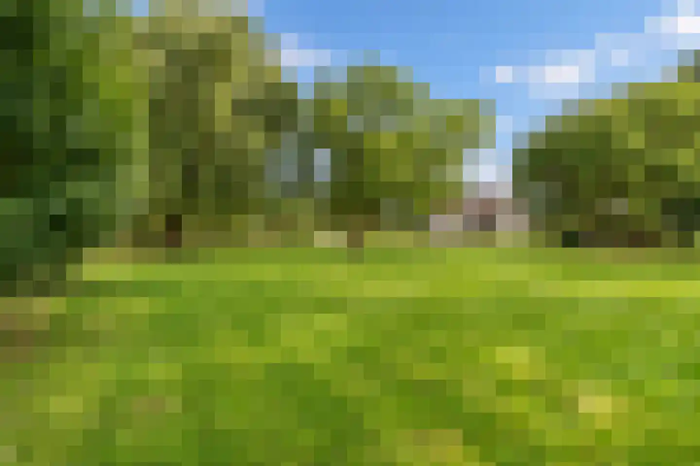 Broek 4 Holthees thumbnail 17