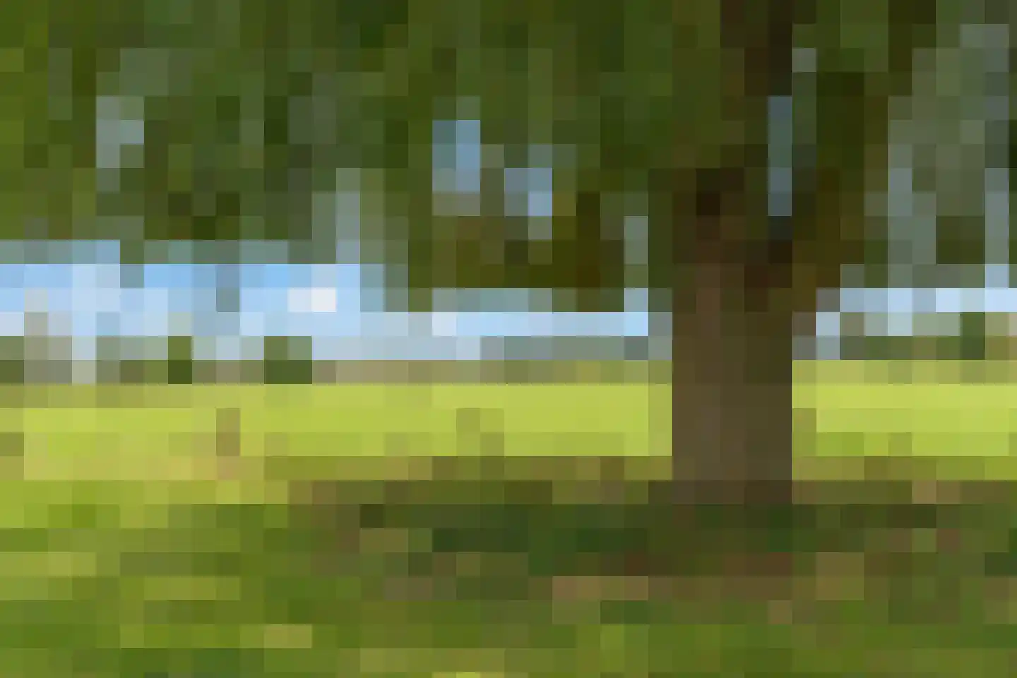 Broek 4 Holthees thumbnail 18