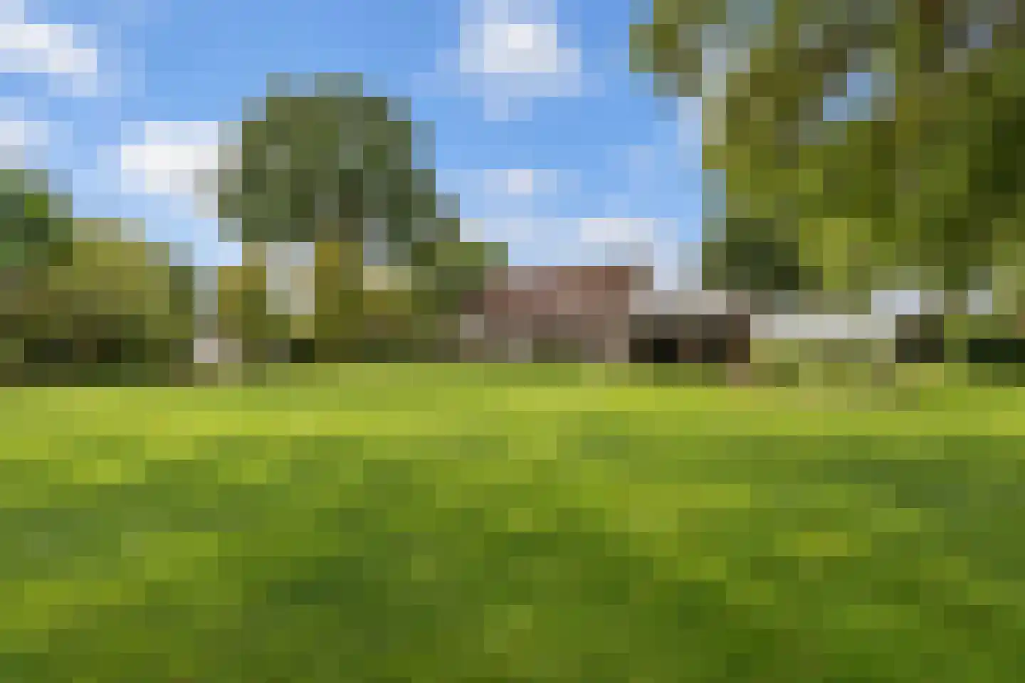 Broek 4 Holthees thumbnail 19