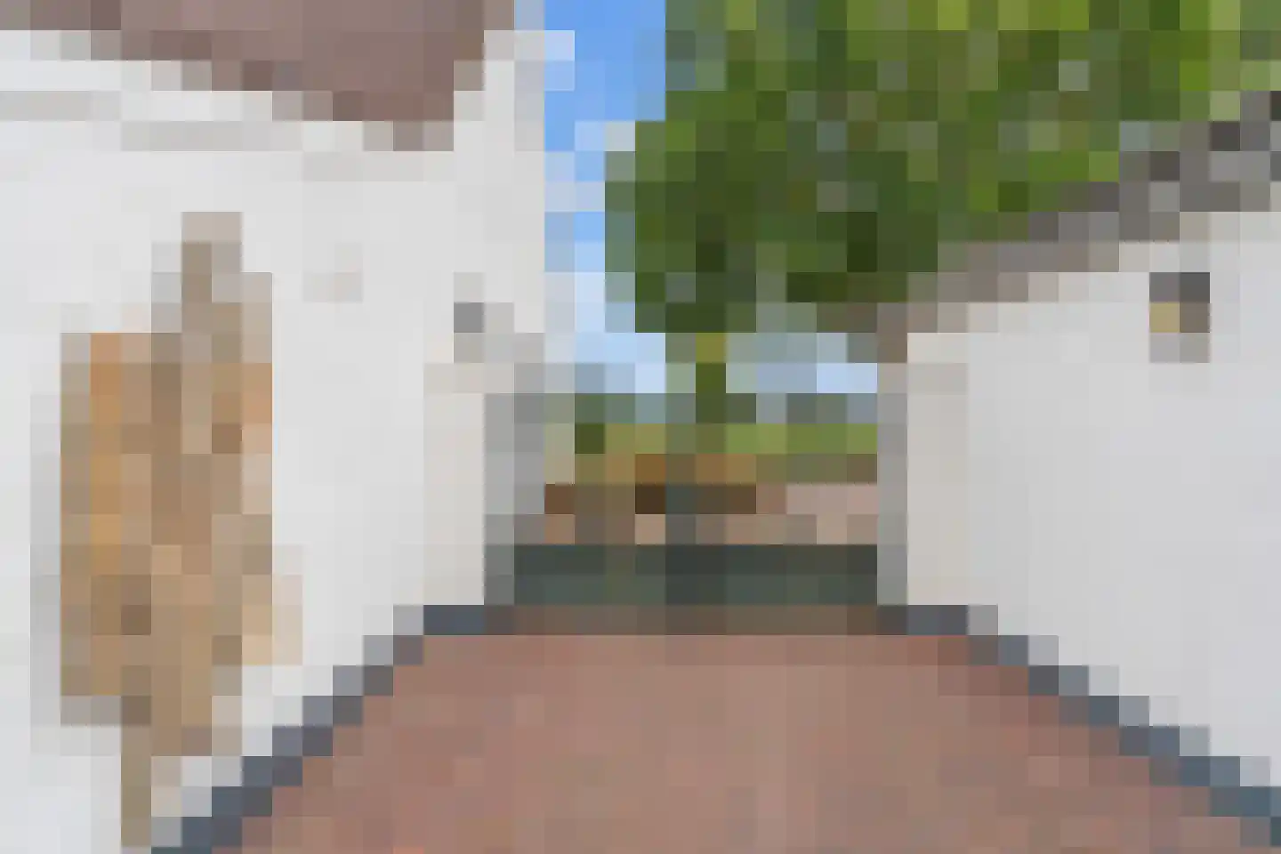 Broek 4 Holthees thumbnail 26
