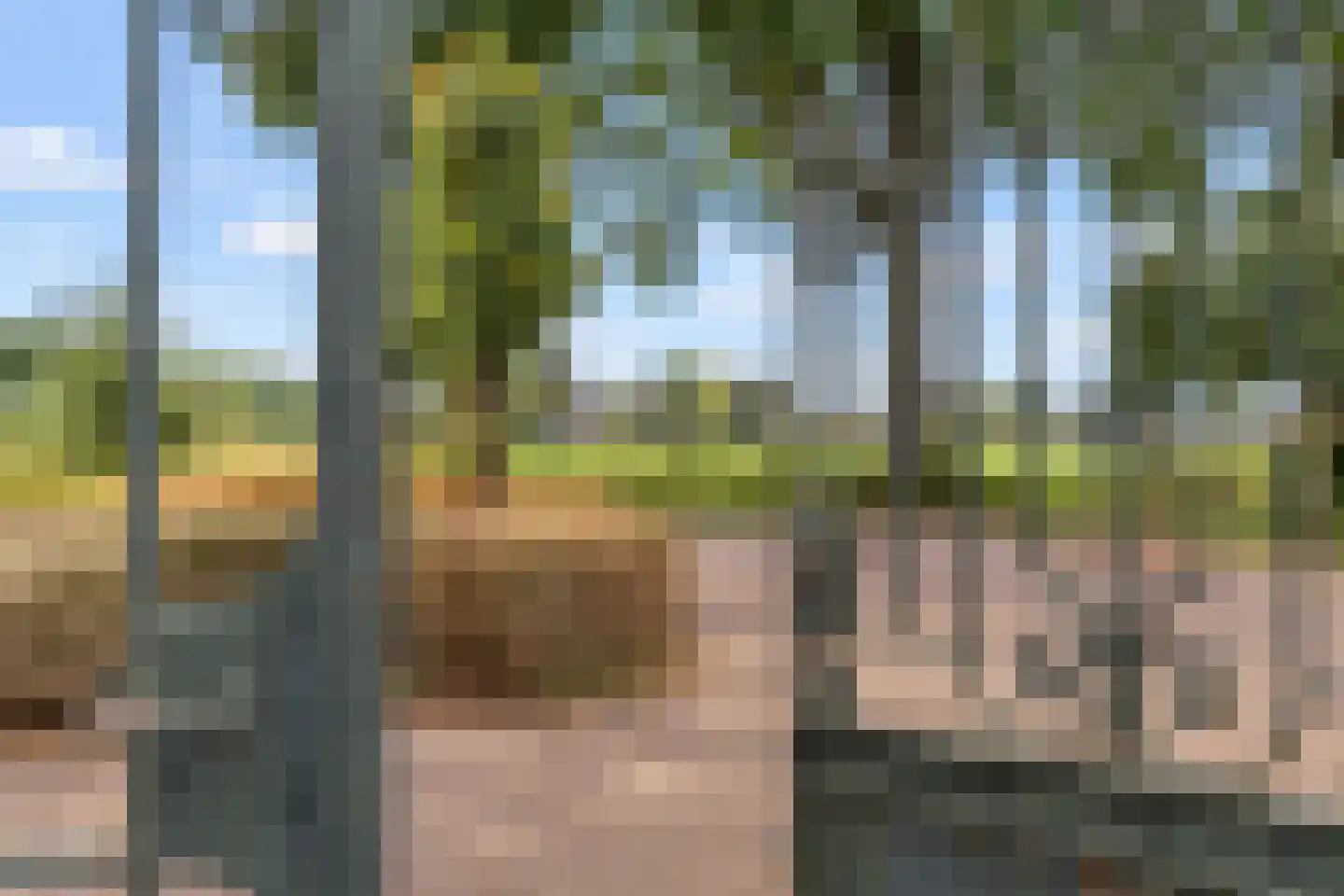 Broek 4 Holthees thumbnail 27