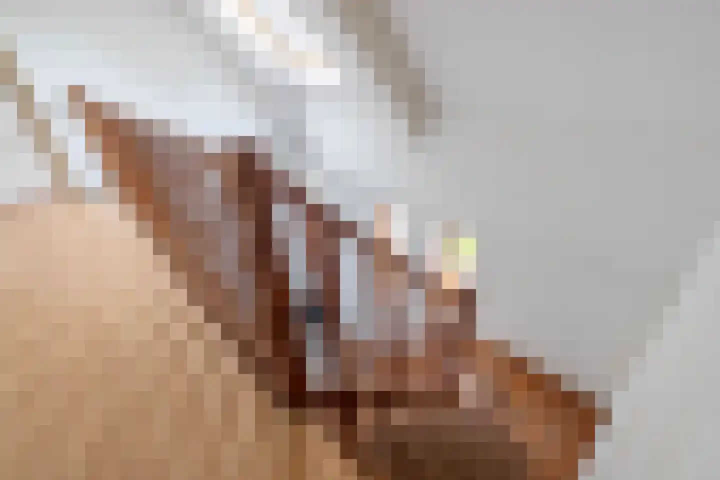 Broek 4 Holthees thumbnail 46