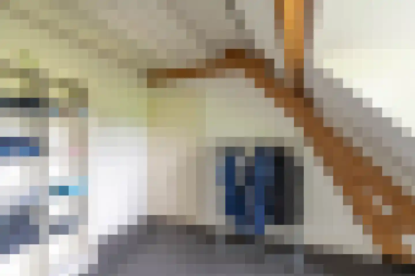Broek 4 Holthees thumbnail 54
