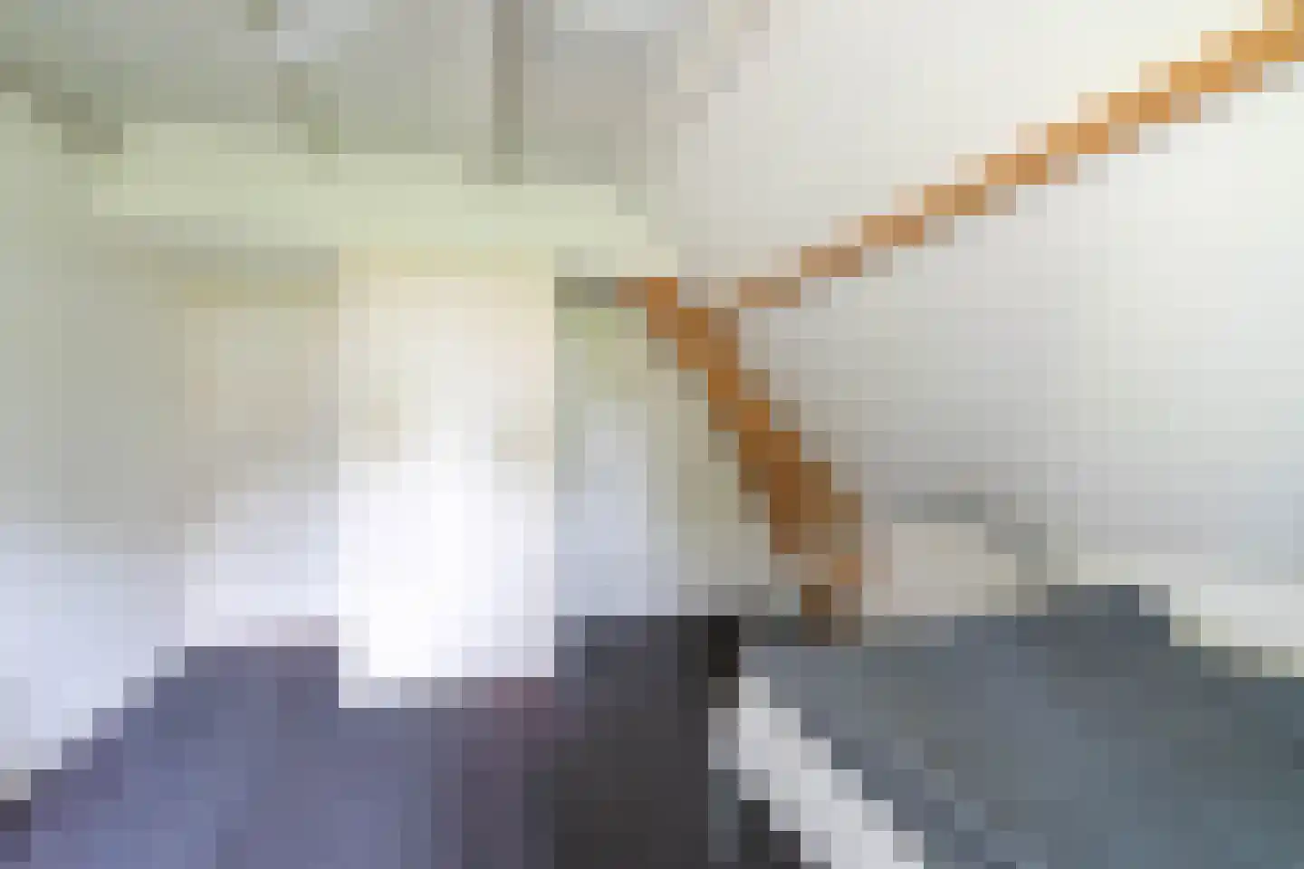Broek 4 Holthees thumbnail 58