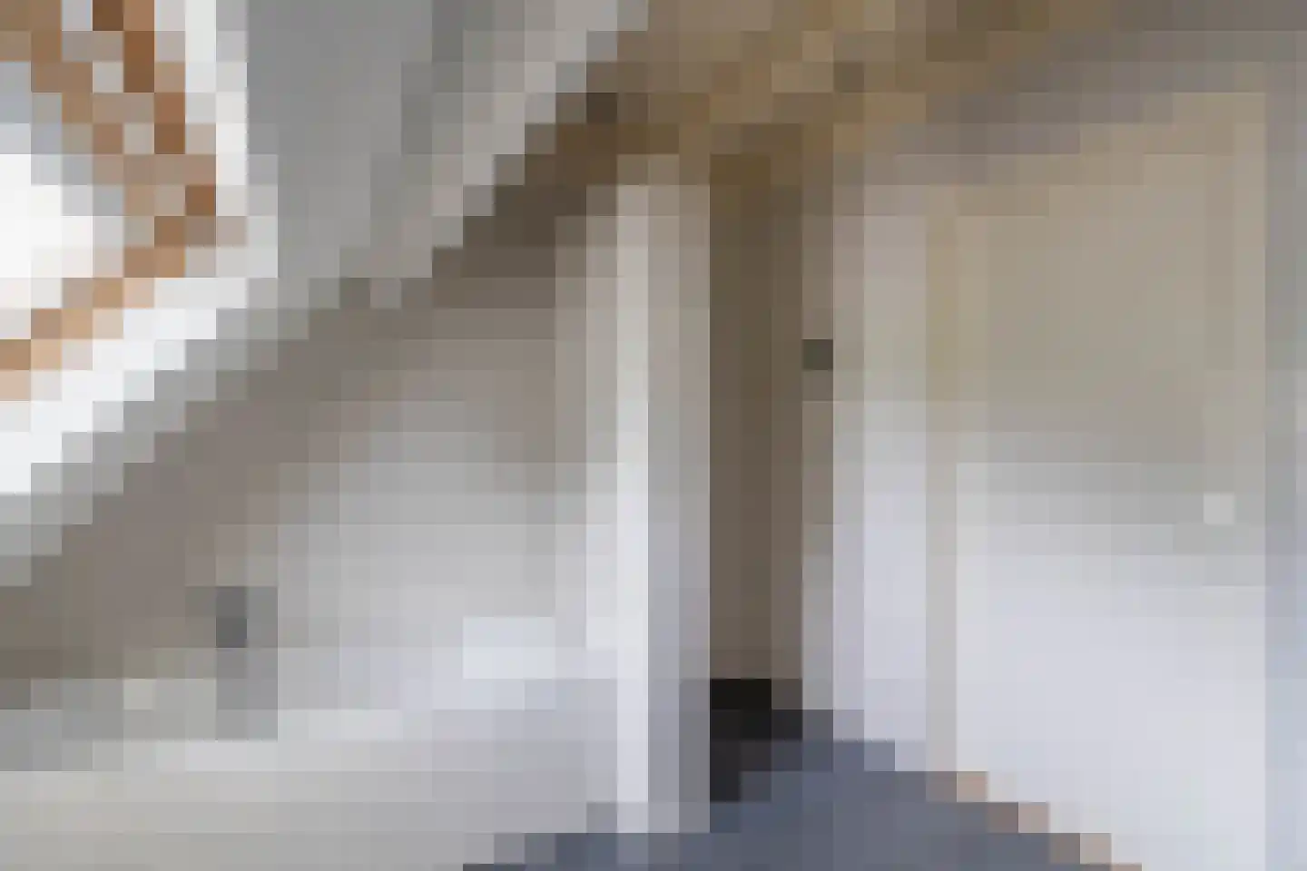 Broek 4 Holthees thumbnail 62