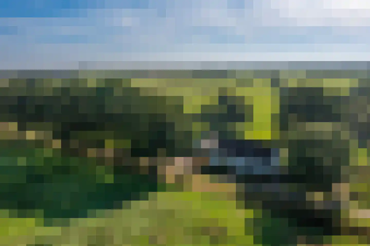 Broek 4 Holthees thumbnail 65