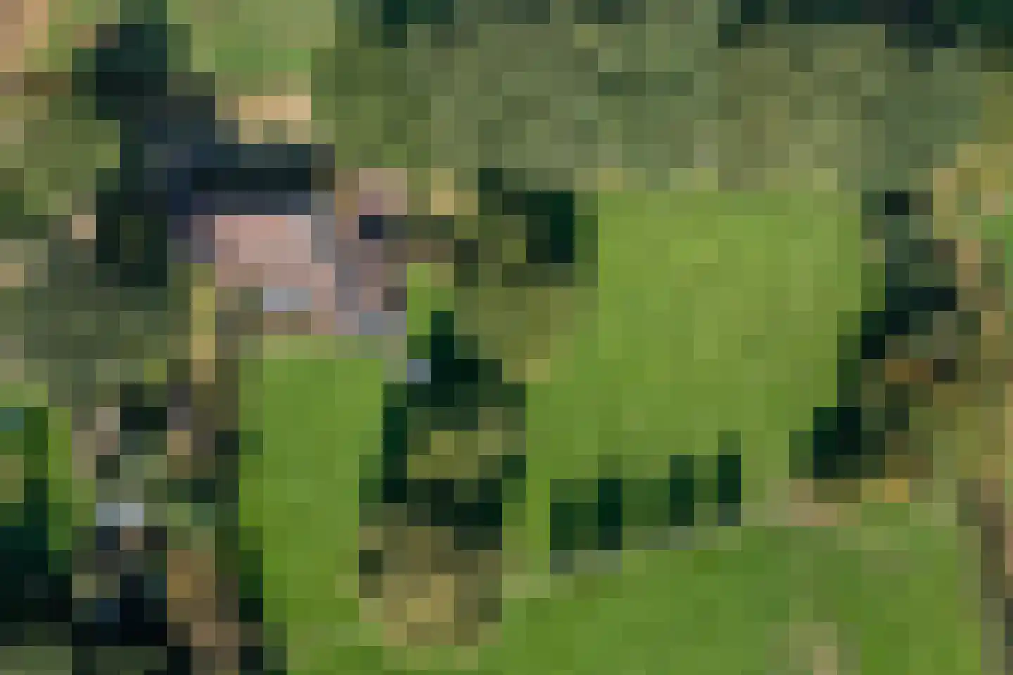 Broek 4 Holthees thumbnail 70