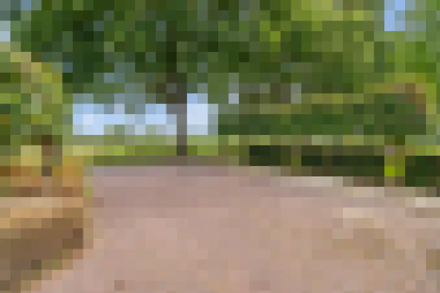 Broek 4 Holthees thumbnail 8