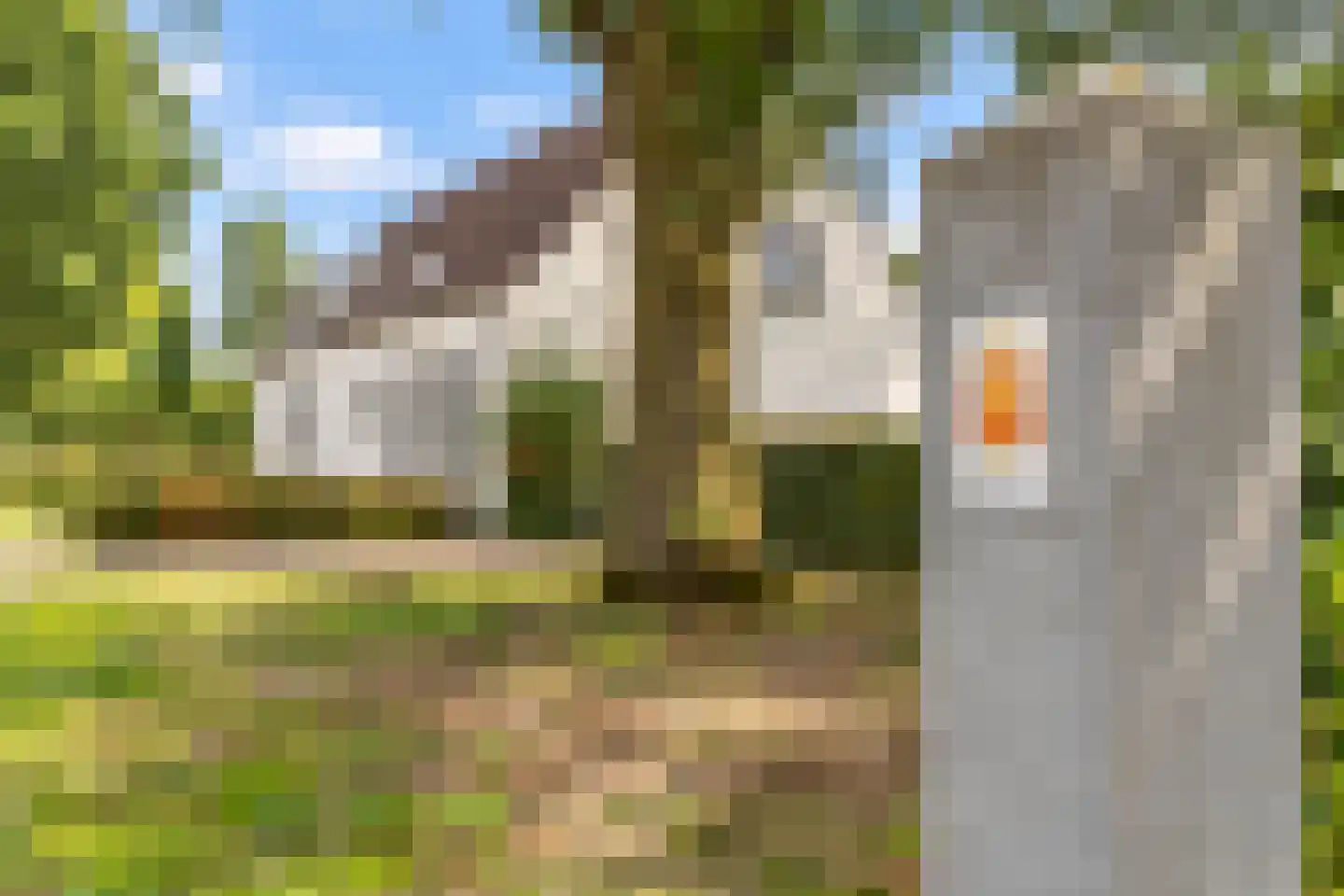 Broek 4 Holthees thumbnail 9