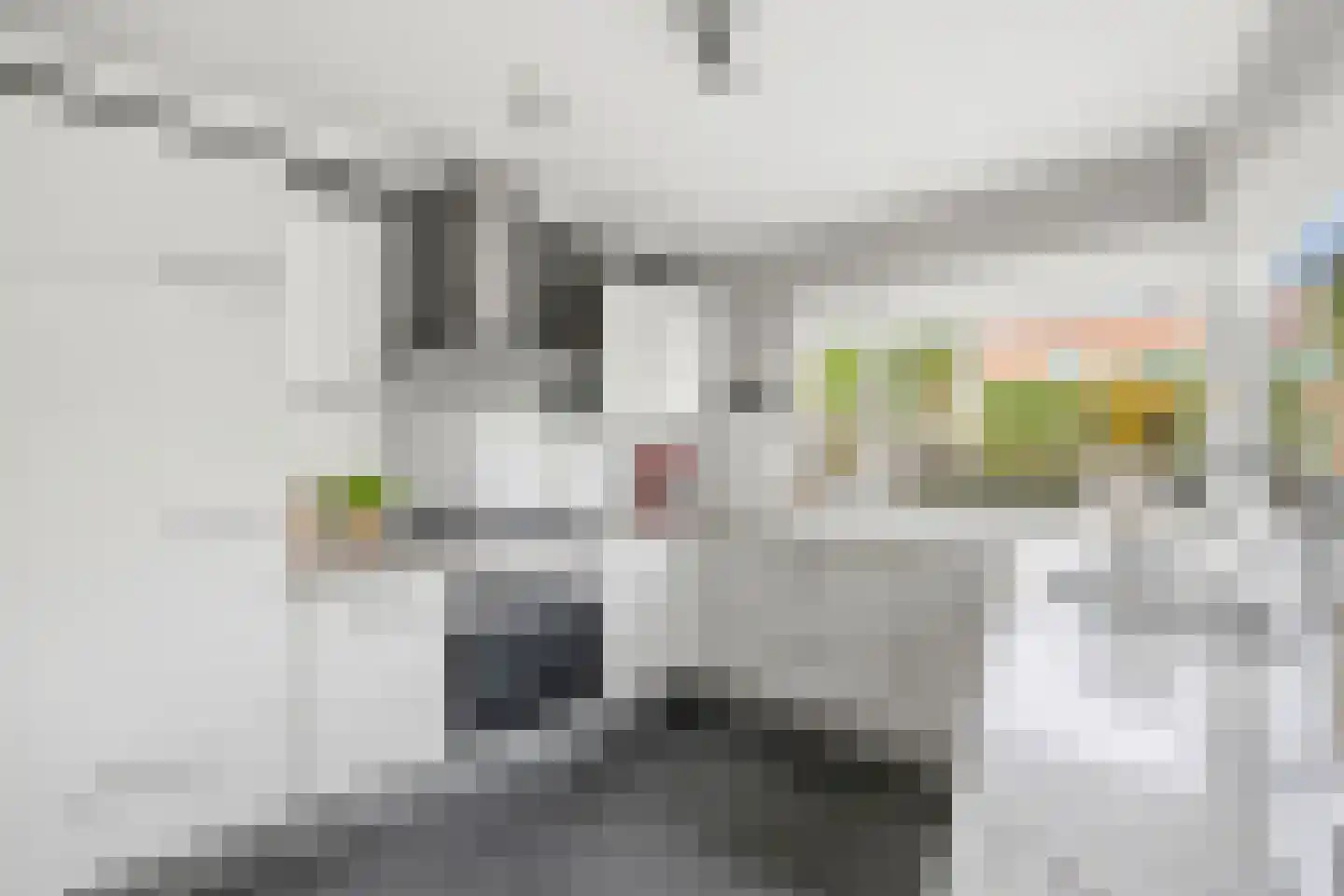 Broek 4 Voorburg thumbnail 17