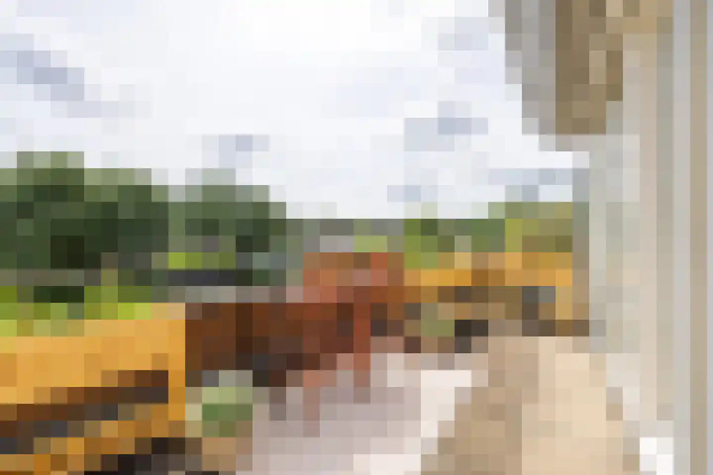 Broek 4 Voorburg thumbnail 35