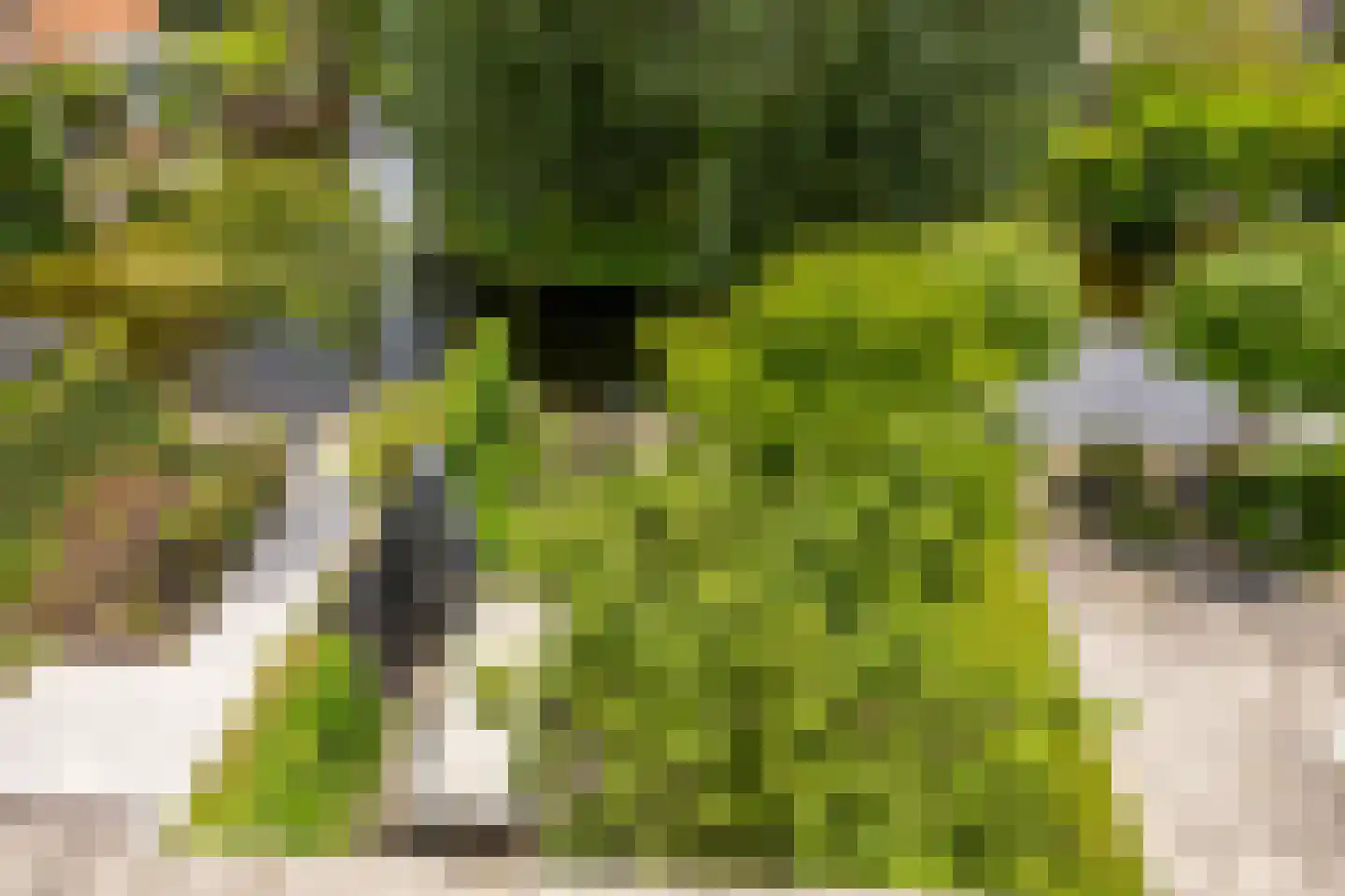 Broek 4 Voorburg thumbnail 38