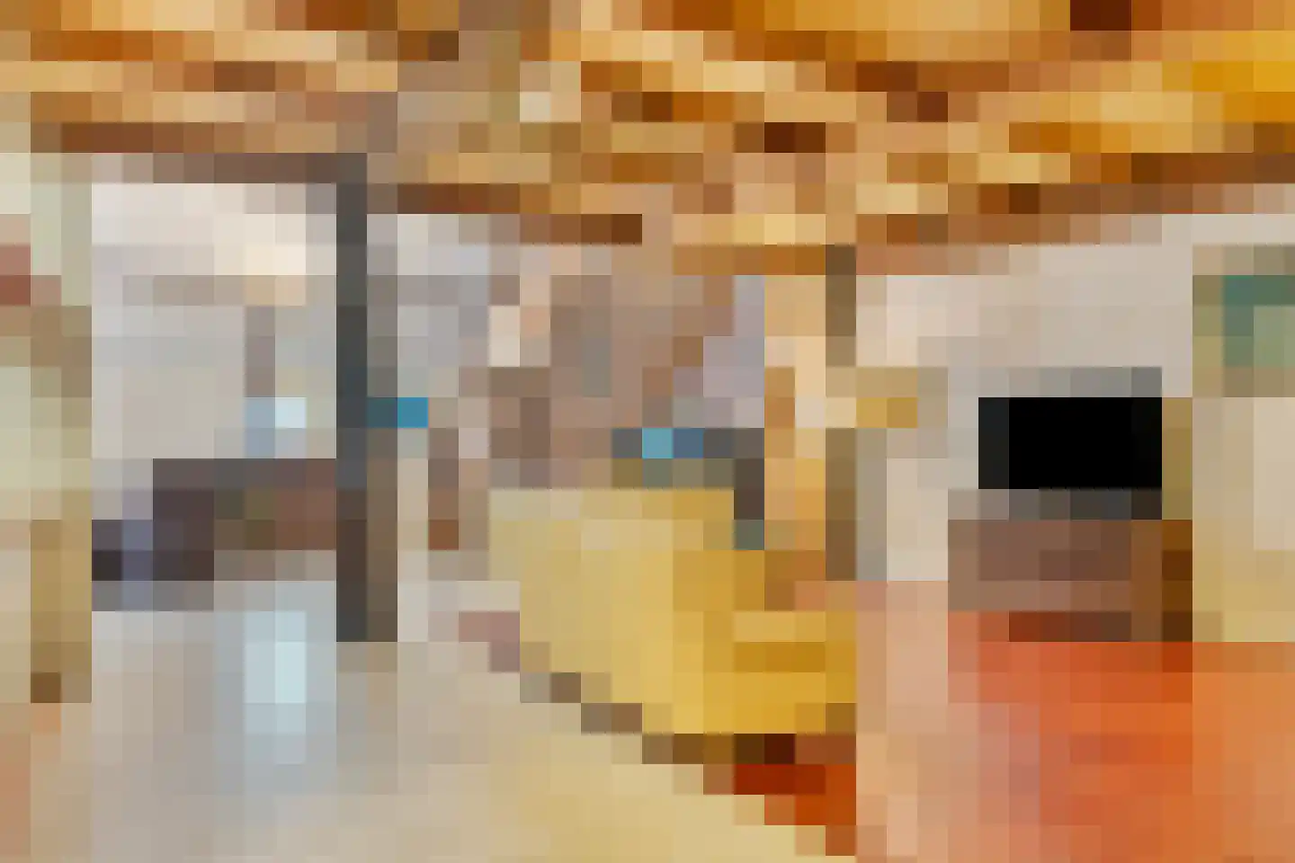 Broek 40 Gieterveen thumbnail 12