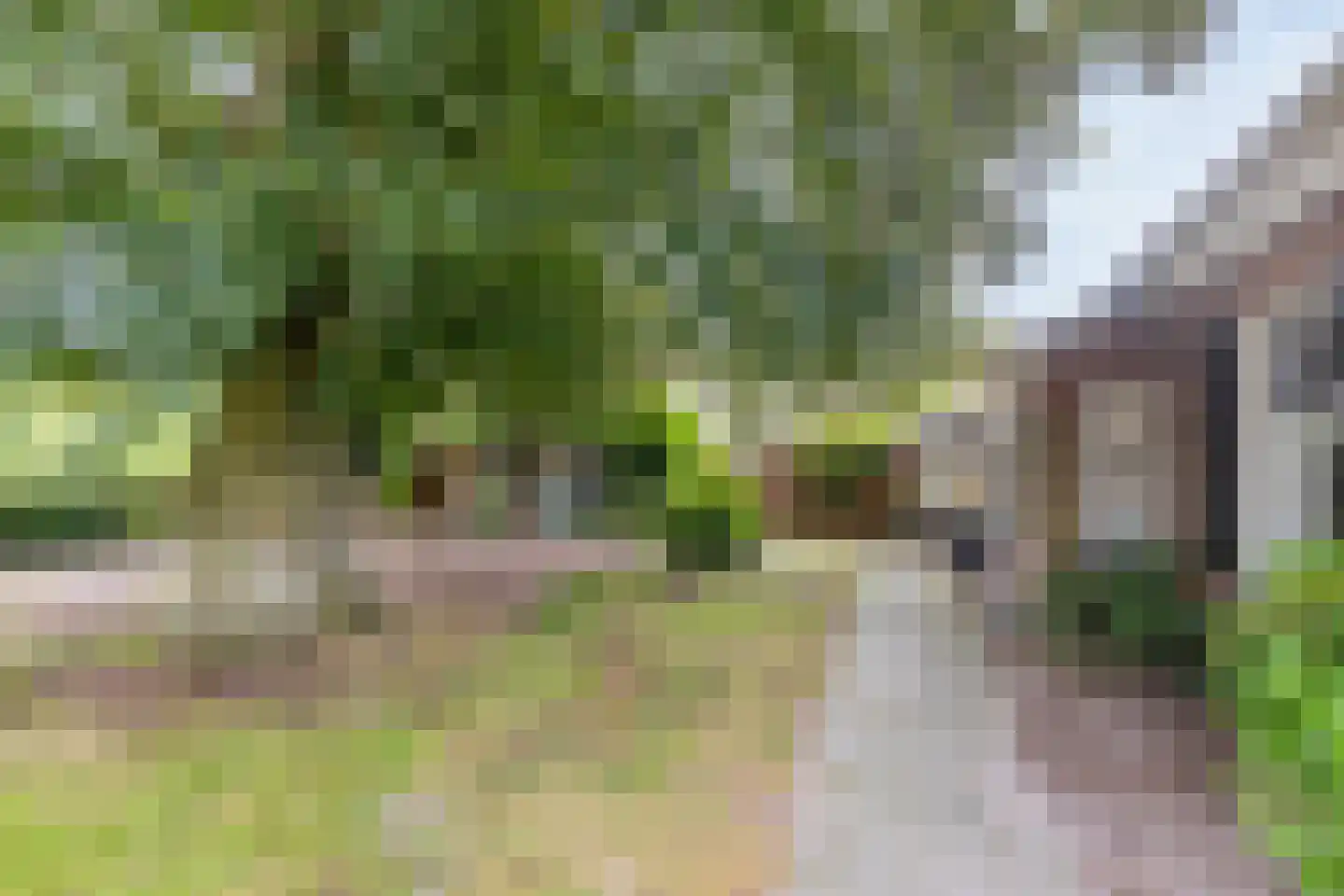 Broek 40 Gieterveen thumbnail 16