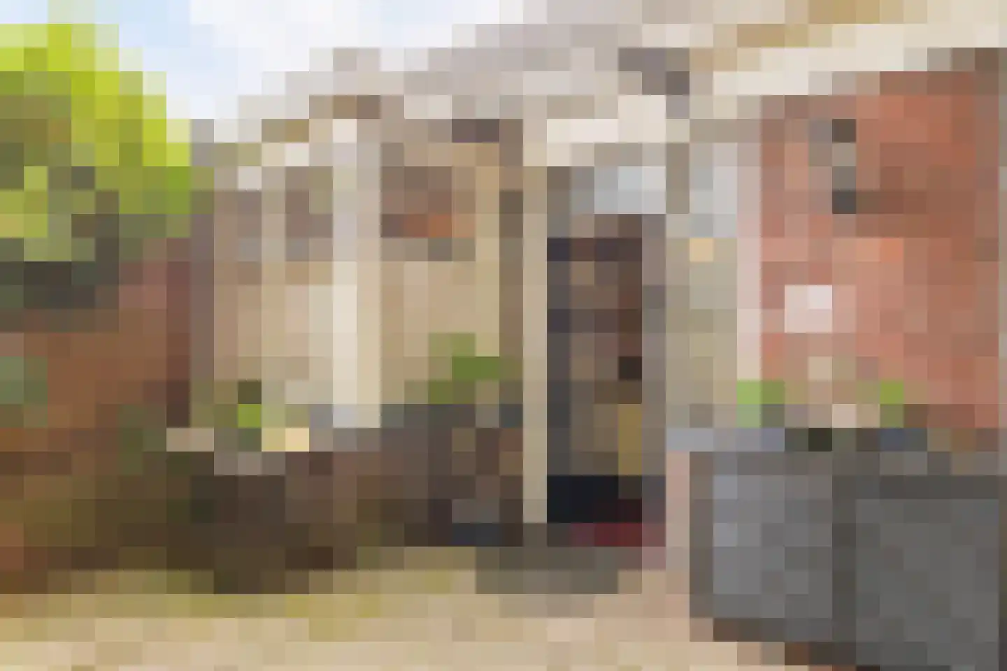 Broek 40 Gieterveen thumbnail 17
