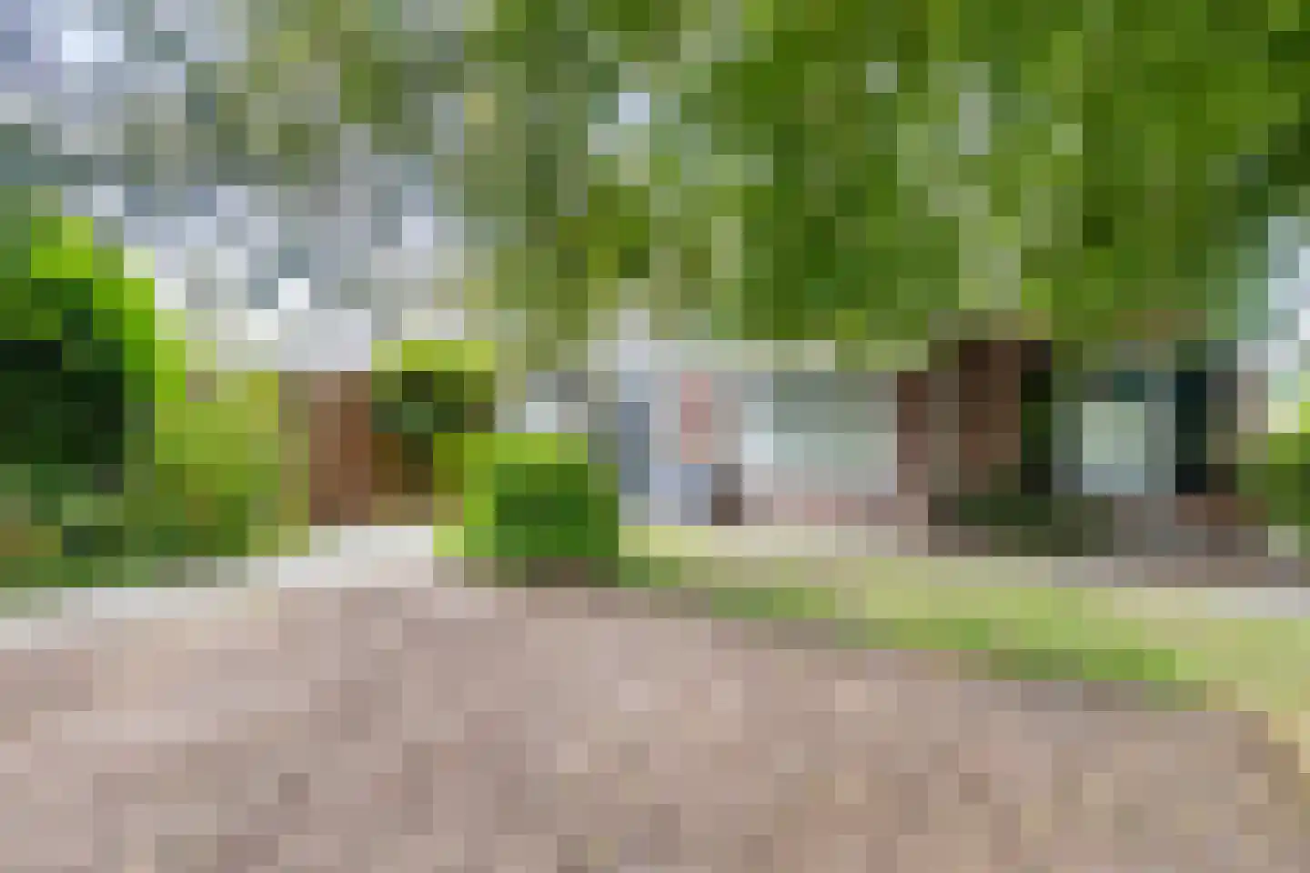 Broek 40 Gieterveen thumbnail 25