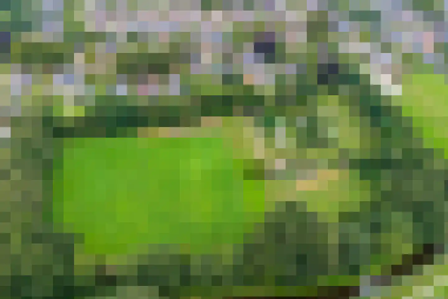 Broek 40 Gieterveen thumbnail 32