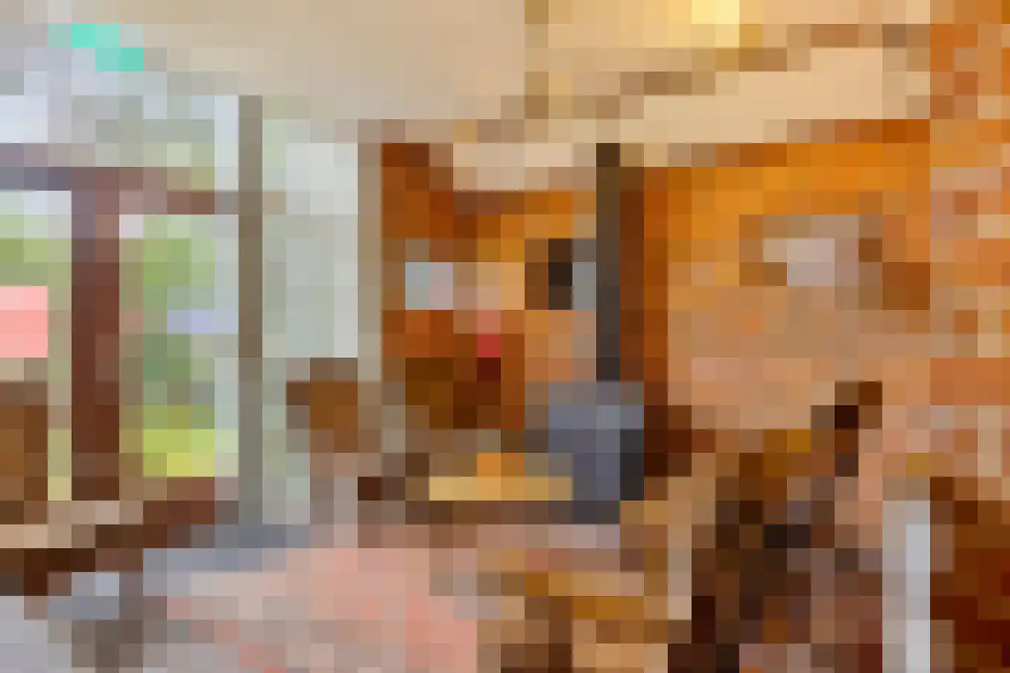 Broek 40 Gieterveen thumbnail 34