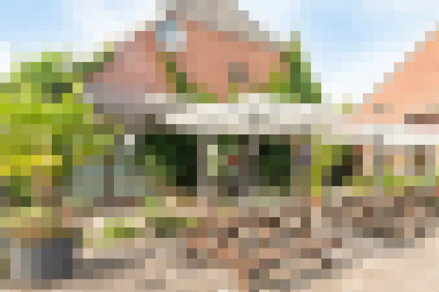 Broek 40 Gieterveen thumbnail 61