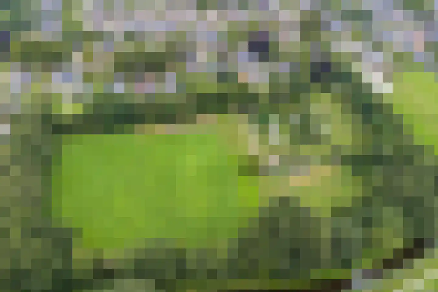 Broek 40 Gieterveen thumbnail 63