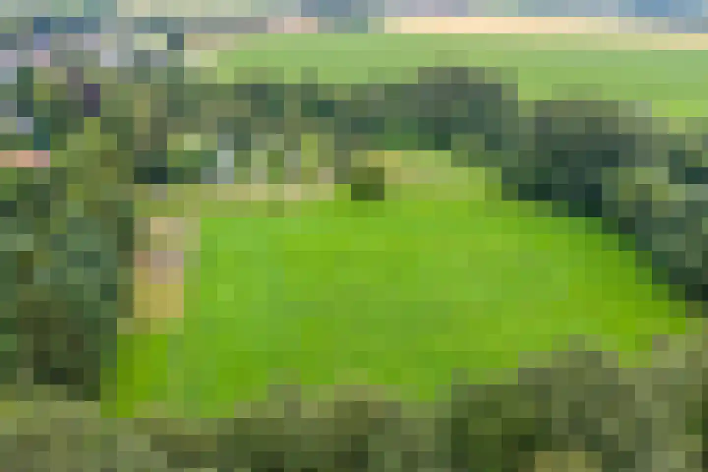 Broek 40 Gieterveen thumbnail 64