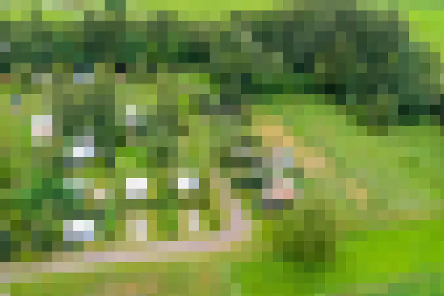 Broek 40 Gieterveen thumbnail 65