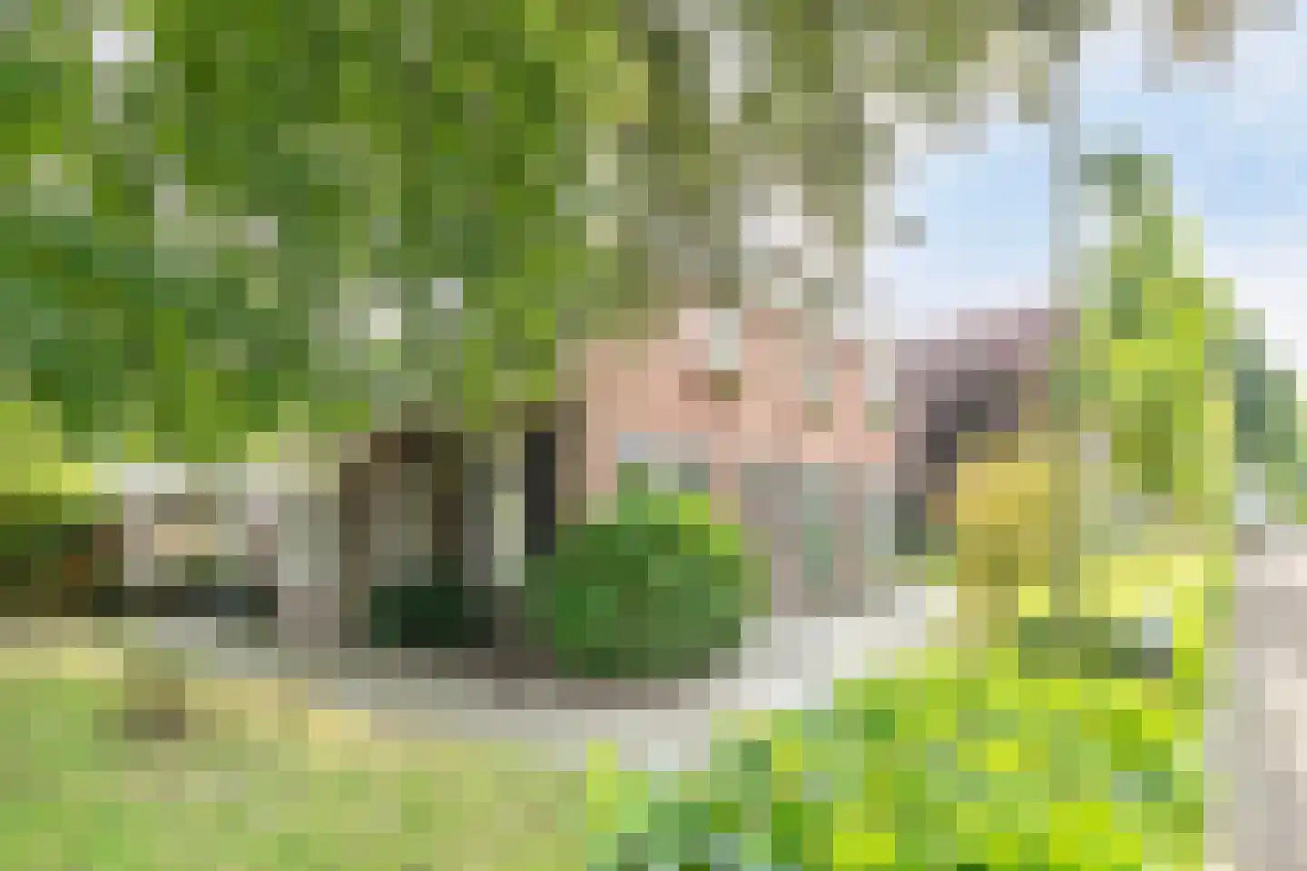 Broek 40 Gieterveen thumbnail 68