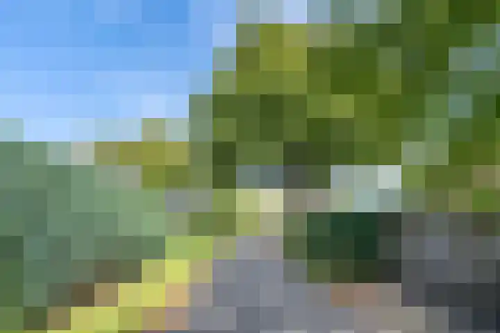 Broek 5 Holthees thumbnail 10
