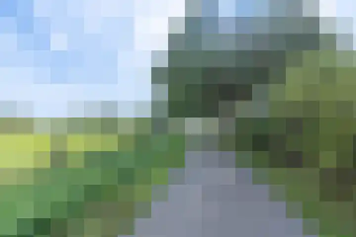 Broek 5 Holthees thumbnail 12