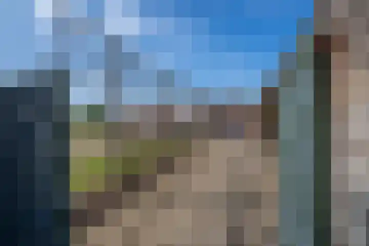 Broek 5 Holthees thumbnail 13