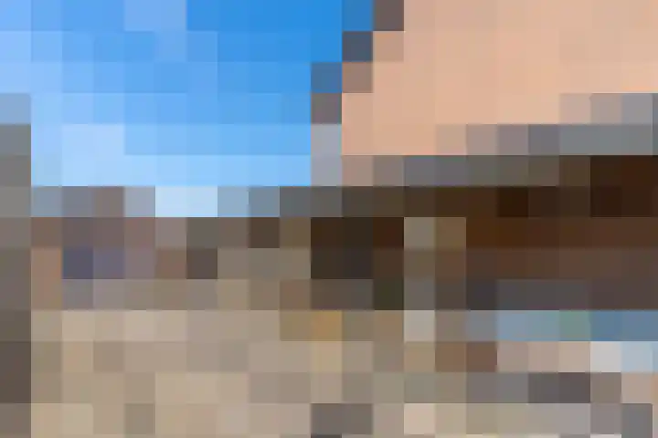 Broek 5 Holthees thumbnail 14