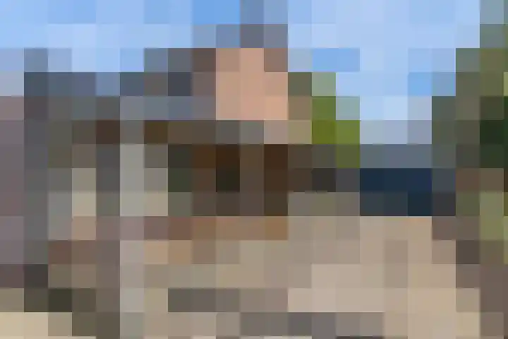 Broek 5 Holthees thumbnail 15