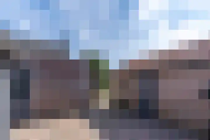 Broek 5 Holthees thumbnail 17