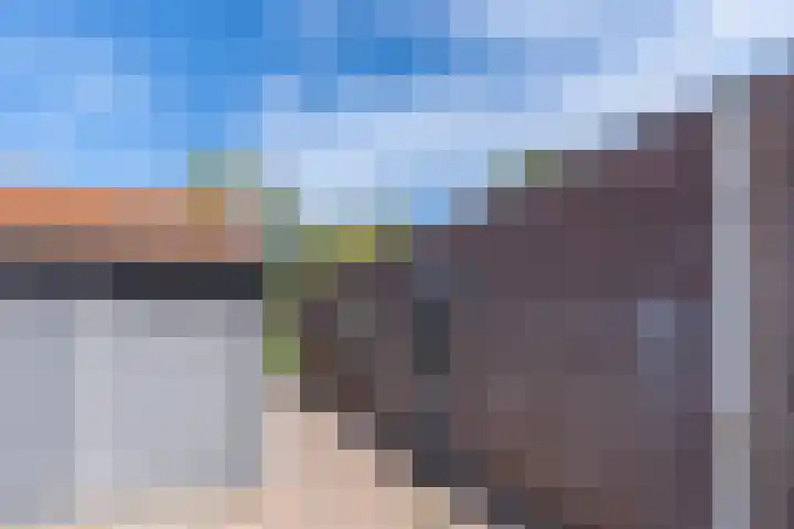Broek 5 Holthees thumbnail 18