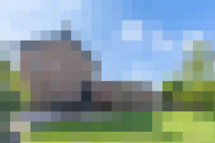 Broek 5 Holthees thumbnail 21