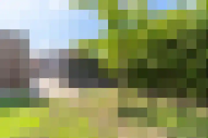 Broek 5 Holthees thumbnail 25