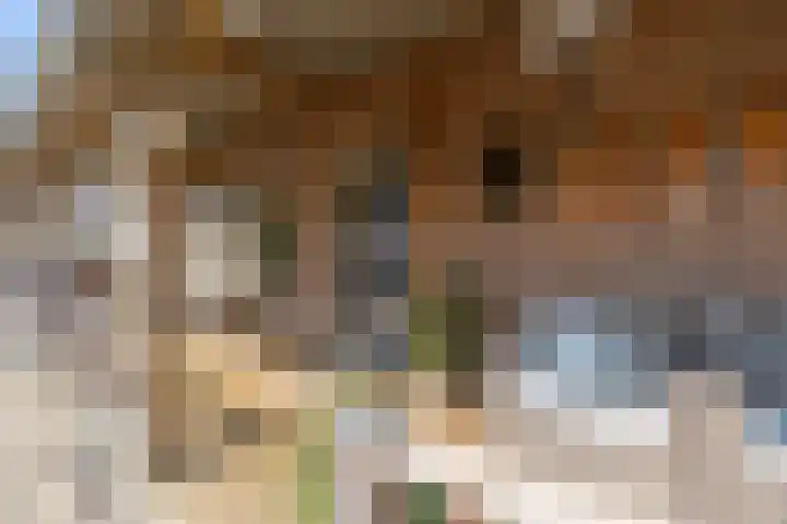 Broek 5 Holthees thumbnail 26