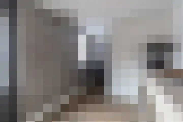 Broek 5 Holthees thumbnail 35