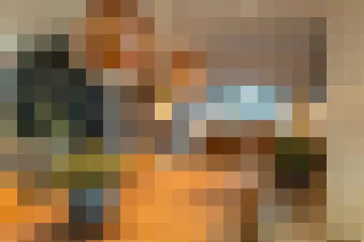 Broek 5 Holthees thumbnail 39