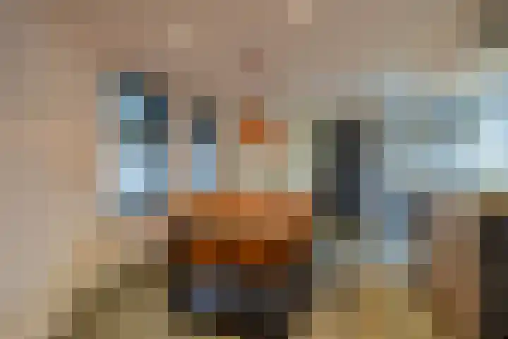 Broek 5 Holthees thumbnail 41