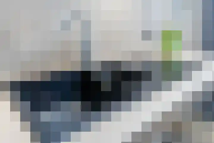 Broek 5 Holthees thumbnail 46