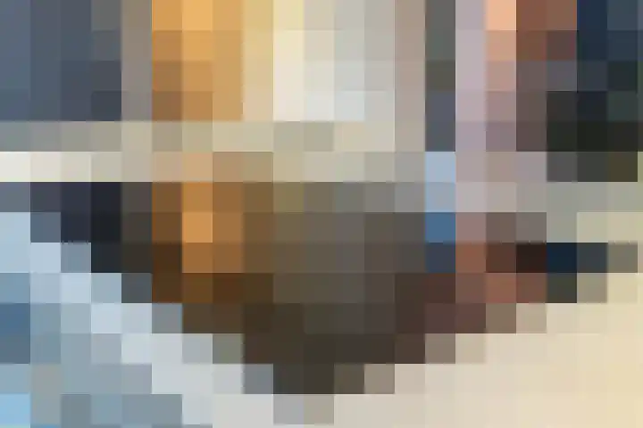 Broek 5 Holthees thumbnail 47