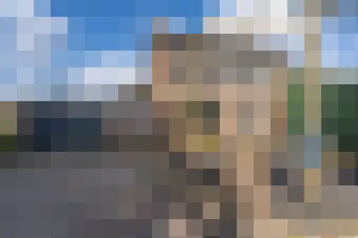 Broek 5 Holthees thumbnail 5