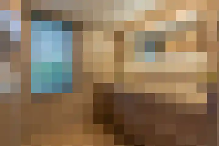Broek 5 Holthees thumbnail 56