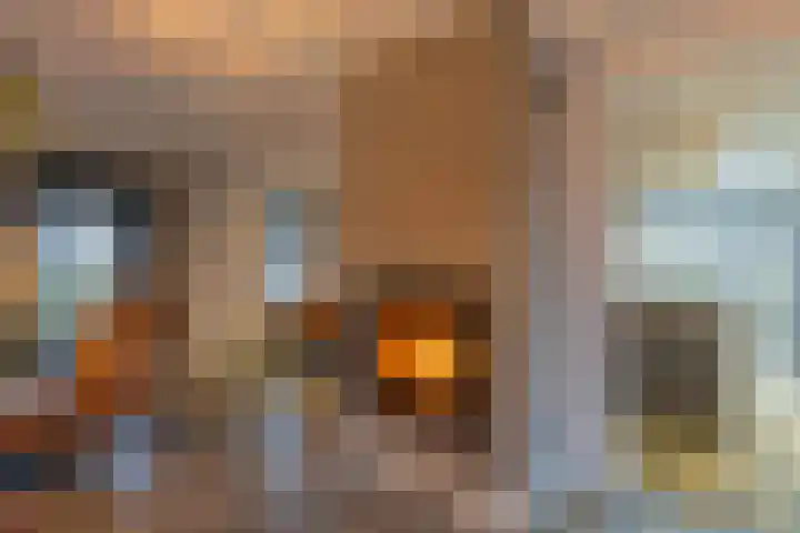 Broek 5 Holthees thumbnail 64