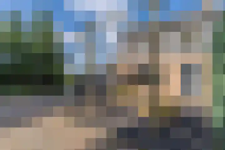 Broek 5 Holthees thumbnail 7